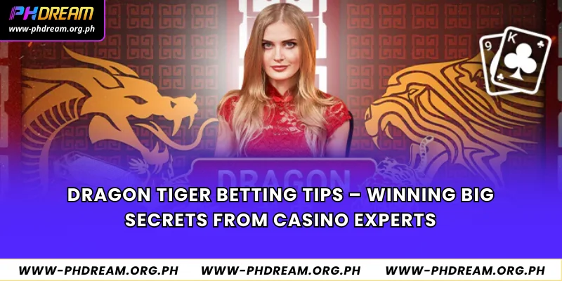 Dragon Tiger Betting Tips
