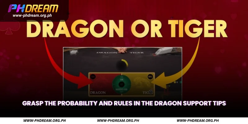 Grasp the Probability and Rules in the Dragon Support Tips